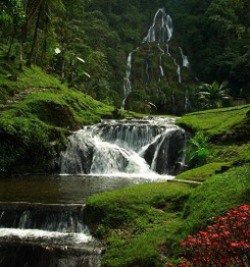 Colombia: El Triángulo del Café ingresa en la lista del Patrimonio Mundial de la Humanidad