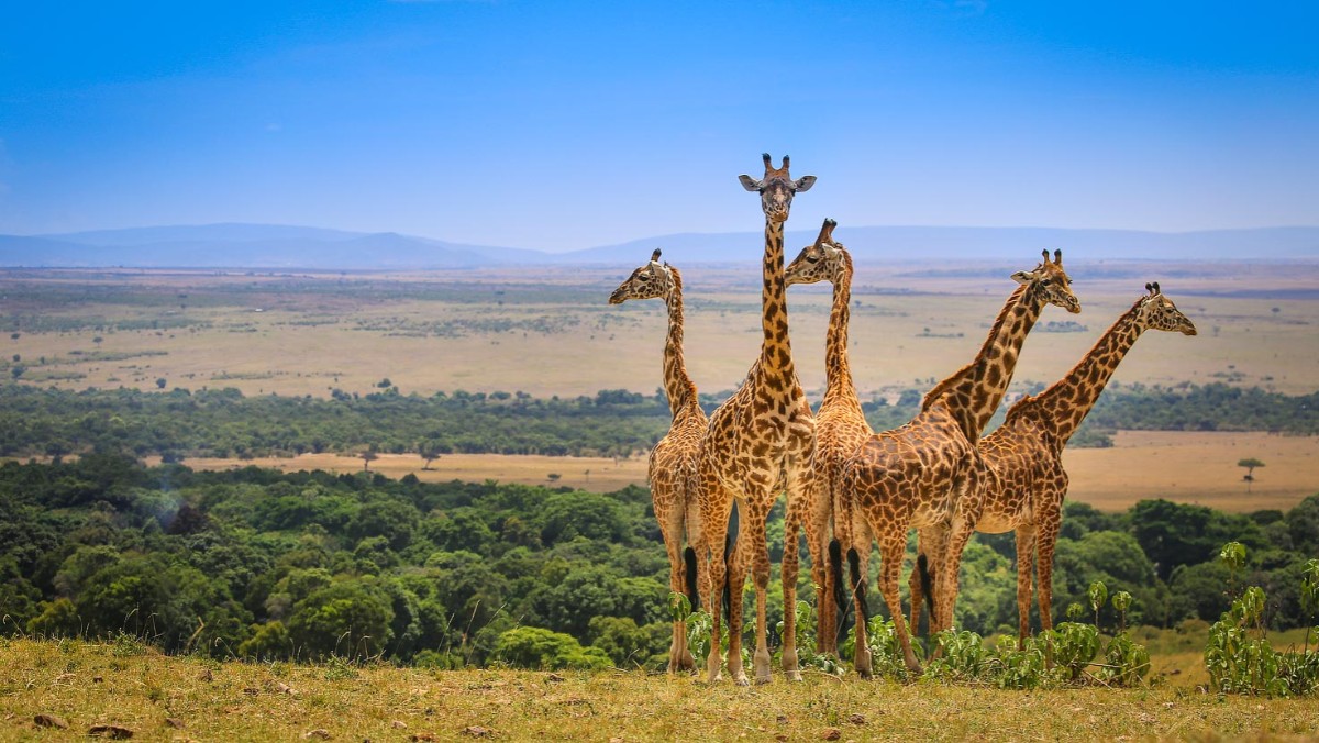 Masai Mara