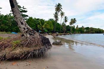 Latinoamérica y el Caribe de cara al cambio climático