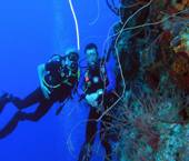 Cuba, noveno destino turístico de las Américas y uno de los más importantes del mundo para el buceo