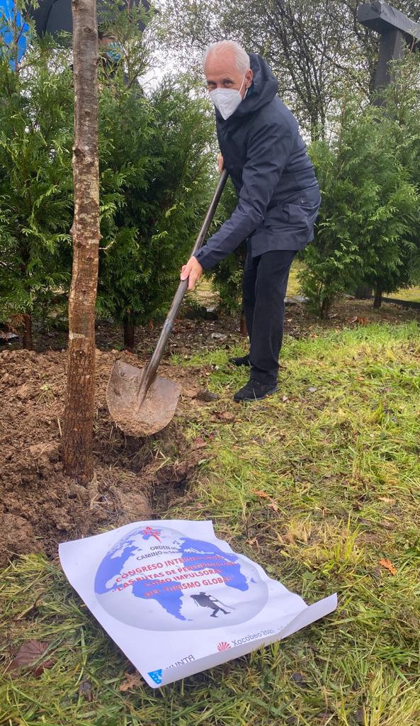 plantando un árbol