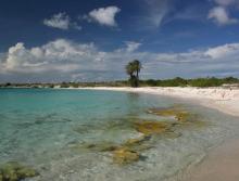 Venezuela reactiva aeropuertos para impulsar el turismo en islas de La Tortuga y La Blanquilla