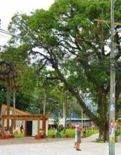 OMT y universidad estatal de Honduras instalarán Observatorio de Turismo Sostenible