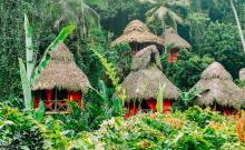 Dominican Tree House Village