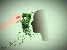 greenwashing