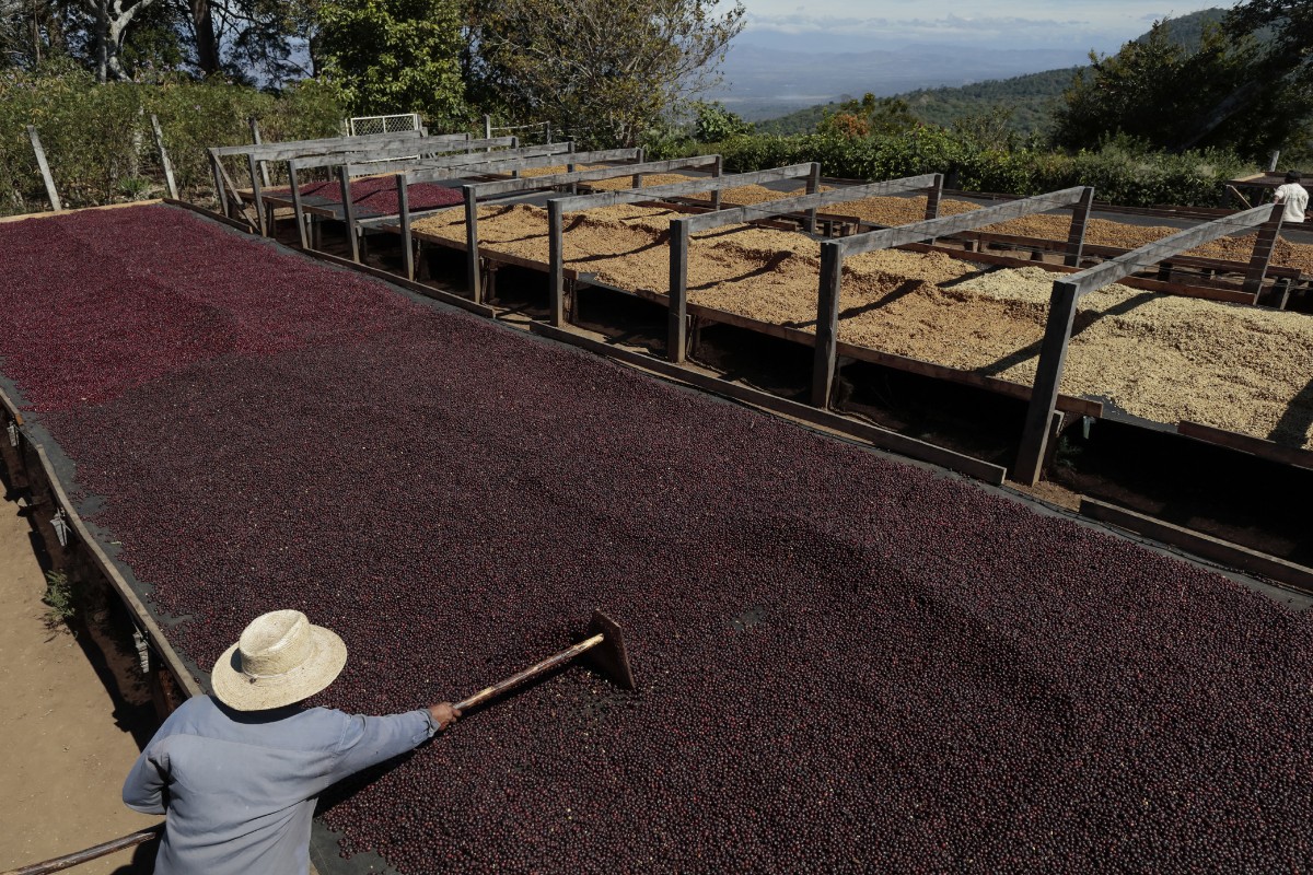 finca cafetera en El Salvador