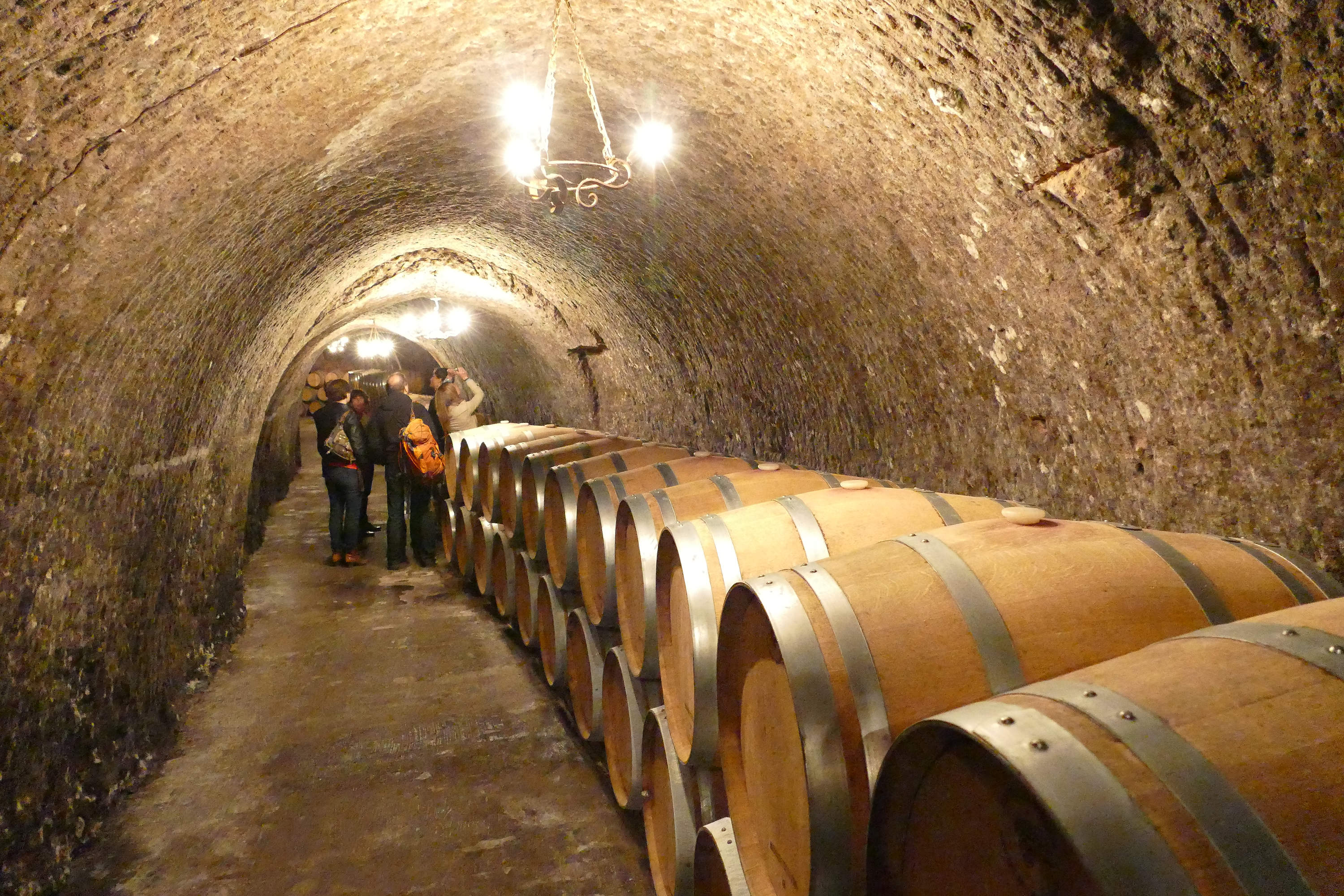 La Ruta del Vino Ribera del Duero presenta su oferta enoturística en B-Travel