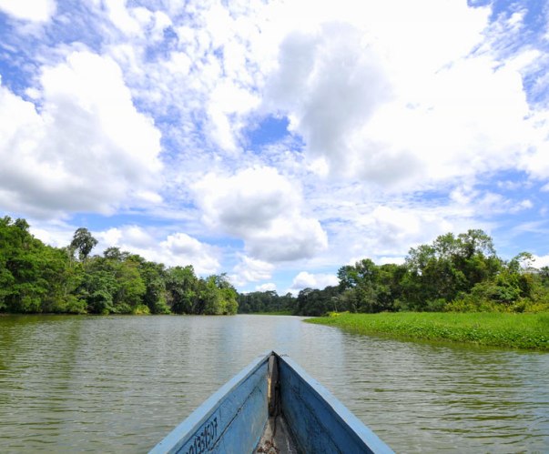 Ecuador: Reserva Ecológica Limoncocha, una experiencia natural y cultural única