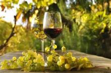 El enoturismo se posiciona como turismo de calidad en España