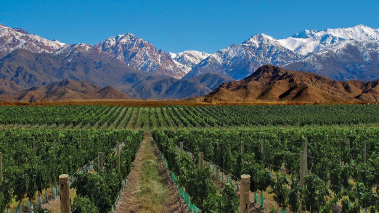 Ruta del Vino Argentina