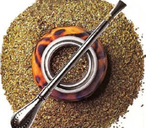 Por la Ruta de la Yerba Mate y la esencia de Argentina