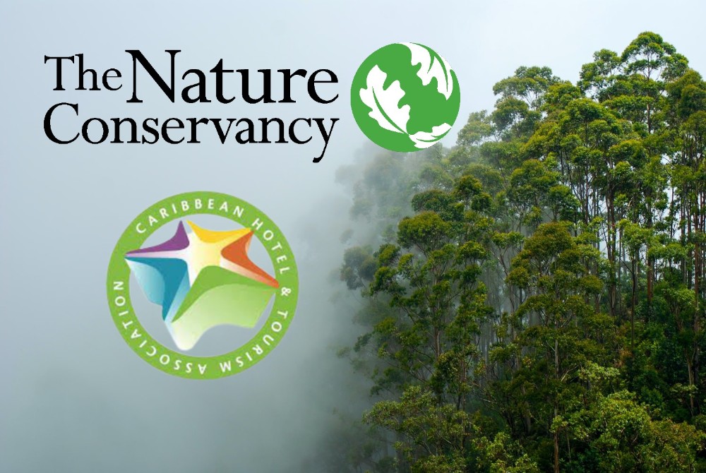 logos de CHTA y The Nature Conservancy, bosque neblinoso