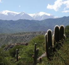 Circuito verde por Parques Nacionales del Norte Argentino