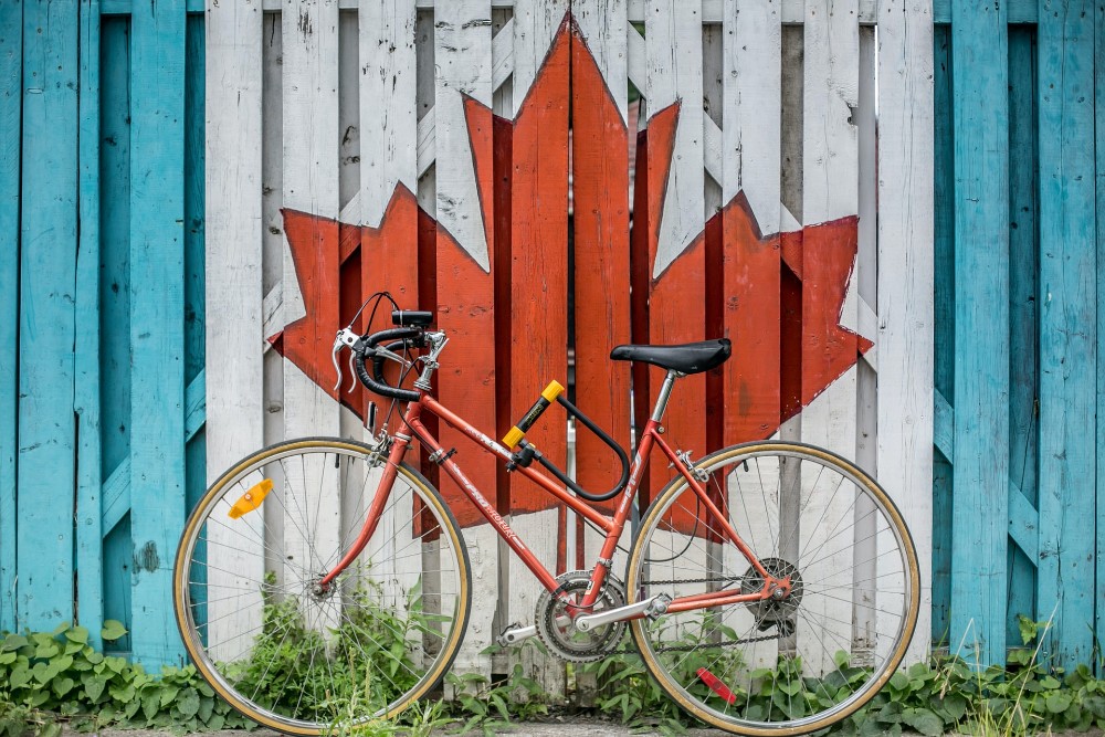 bicicleta recostada a una cerca azul y blanca con una flor de maple pintada