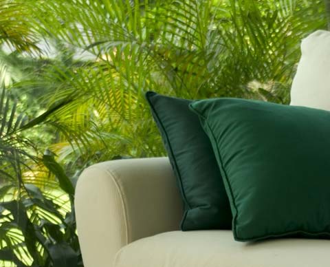 Presentarán en conferencia caribeña beneficios económicos del turismo sostenible