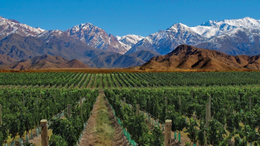 Mendoza ruta del vino