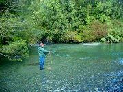 Costa Rica: Llegan más turistas para practicar la pesca deportiva