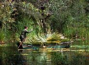 Cuba promueve el turismo de naturaleza