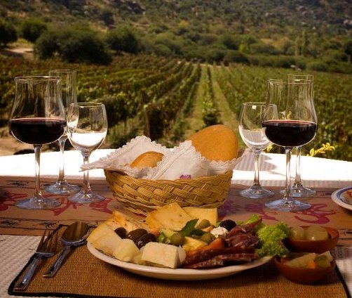 Mendoza vive a pleno la temporada de vendimia