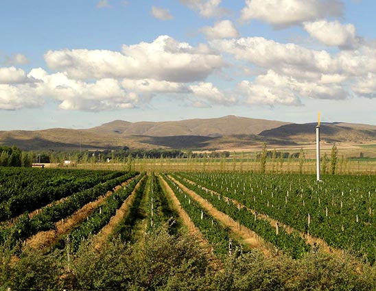 Rutas gourmet en la provincia de Buenos Aires