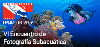 Comenzó VI Encuentro de Fotografía Subacuática IMASUB 2016 en  Cuba (+Video)