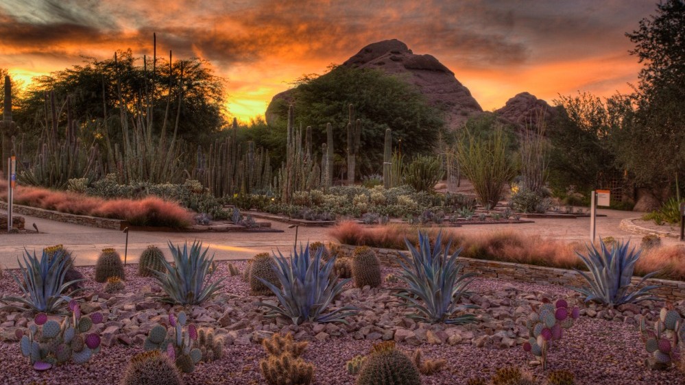 jardines botánicos