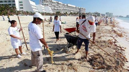 El Caribe necesitará 120 millones de dólares para combatir el sargazo