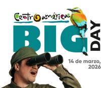 Big Day Centroamérica
