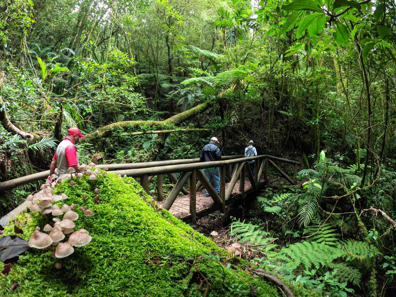 Honduras