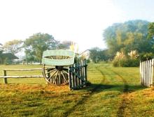 Experiencias únicas por los campos de Entre Ríos