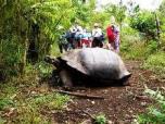 Ecuador: UNESCO decide sacar a Galápagos de su lista “negra”