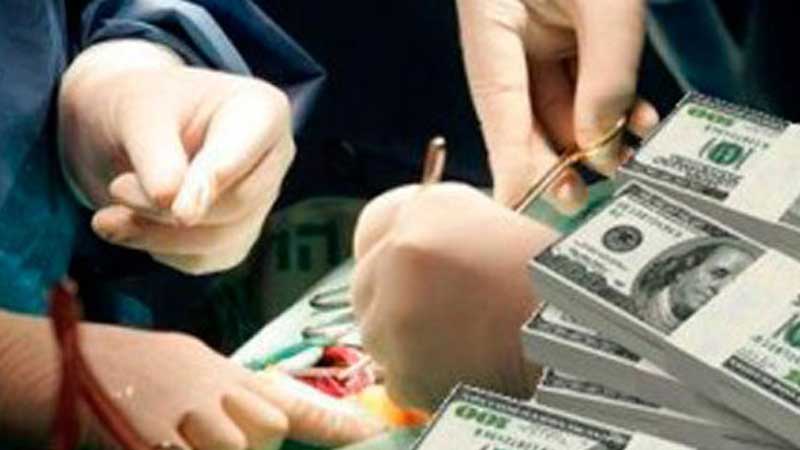 Vaticano aborda con expertos el “drama actual” del “turismo de trasplantes”