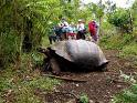 Ecuador: Fundación científica advierte sobre desafíos para conservar ecosistemas en Islas Galápagos