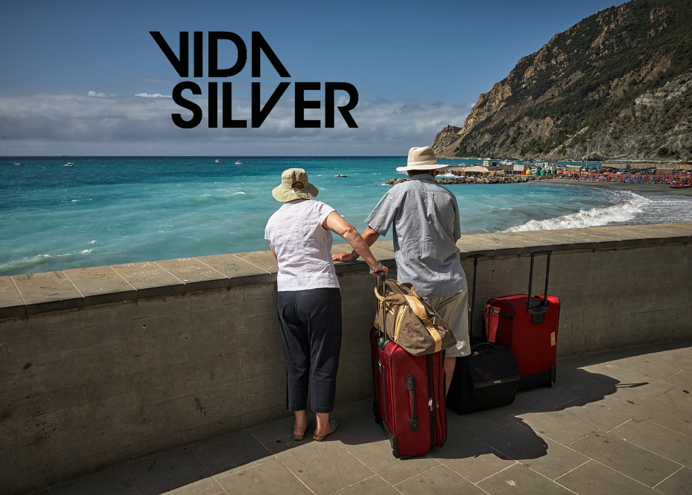 Vida Silver