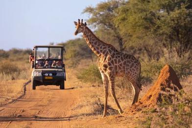 Kenya