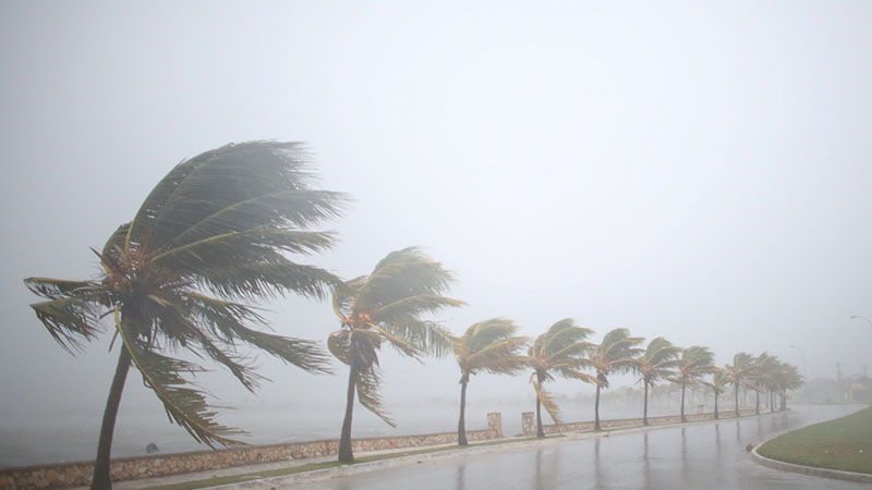 Puerto Rico promueve campaña de recuperación