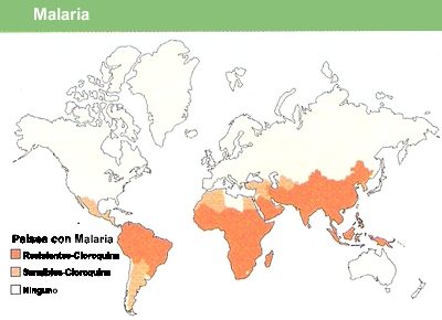 Paludismo, una enfermedad a la que cualquier viajero puede quedar expuesto