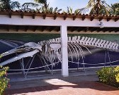 Venezuela: El Museo Marino de Margarita