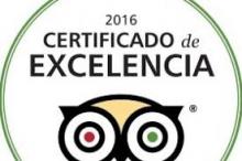 TripAdvisor premia a 58 hoteles de RIU con Certificados de Excelencia 