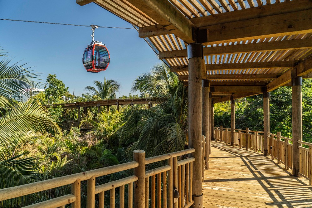 teleférico Riviera Nayarit