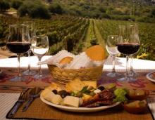 La Ruta del Vino argentino