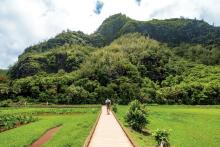 turismo regenerativo