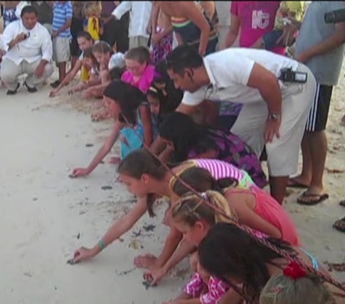 México: Huéspedes del hotel Grand Velas Riviera Maya aprenden sobre protección de tortugas marinas