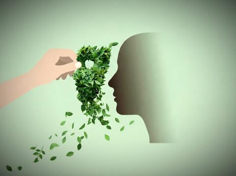greenwashing