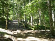 Aran Park, Wildlife y las vías ferratas, mejores actividades sostenibles de la Val d’Aran