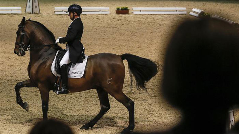 España acoge única Feria del Turismo Ecuestre de Europa