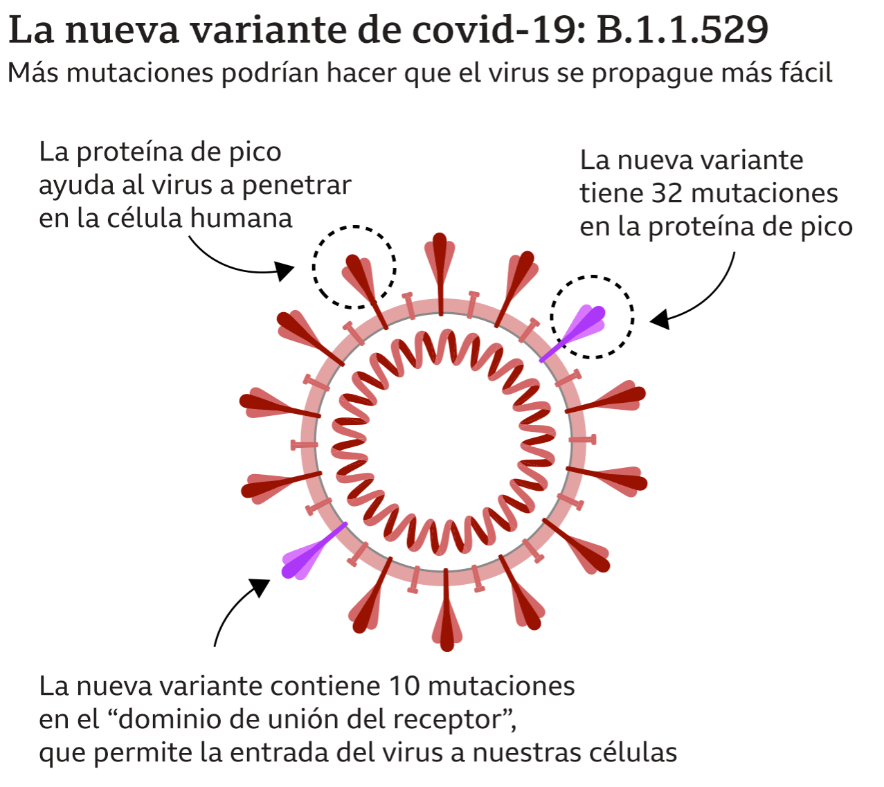 variante