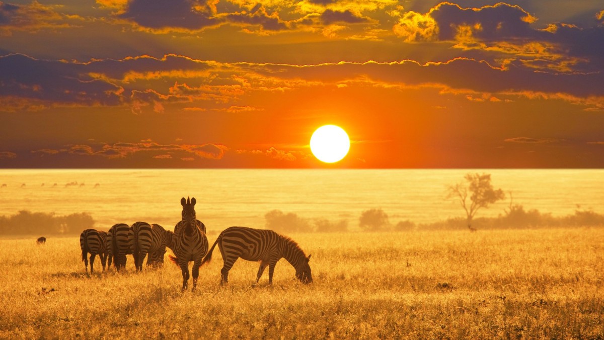 Etosha