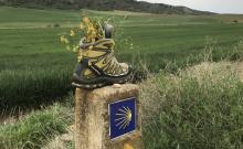 Camino de Santiago