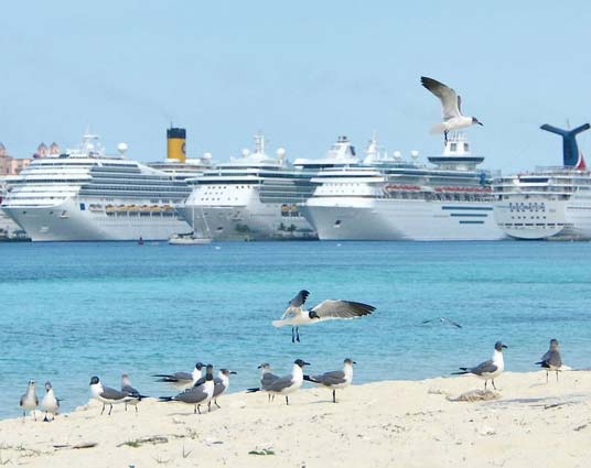 El Caribe debe mejorar su producto para mantener el liderazgo en sector de cruceros, advierten en Cruise Shipping Miami